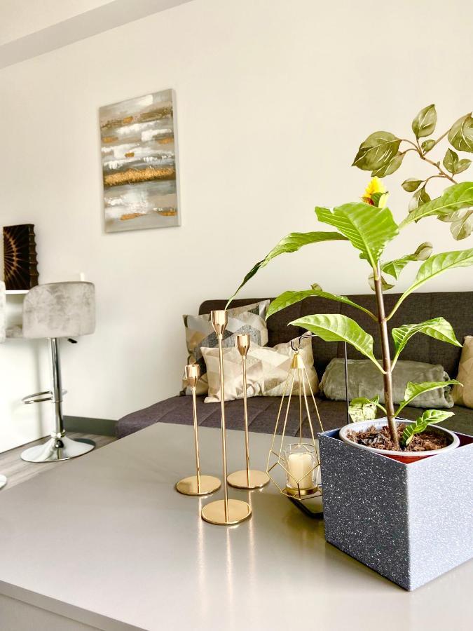 Comodo Y Elegante Apartamento En Fabuloso Condo! San Jose  Luaran gambar