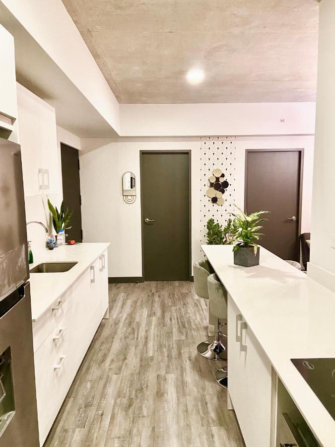 Comodo Y Elegante Apartamento En Fabuloso Condo! San Jose  Luaran gambar