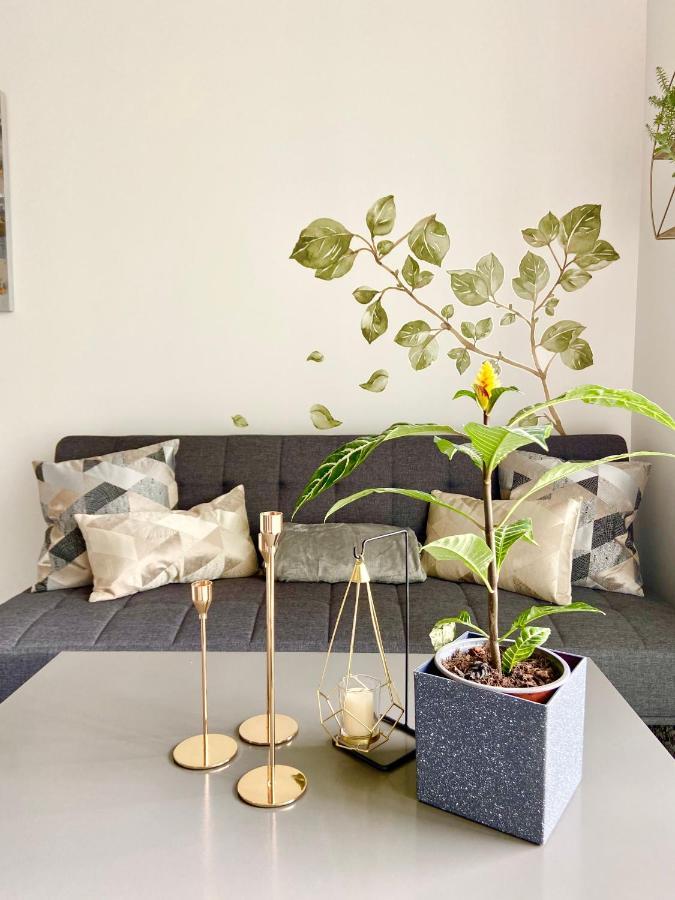 Comodo Y Elegante Apartamento En Fabuloso Condo! San Jose  Luaran gambar